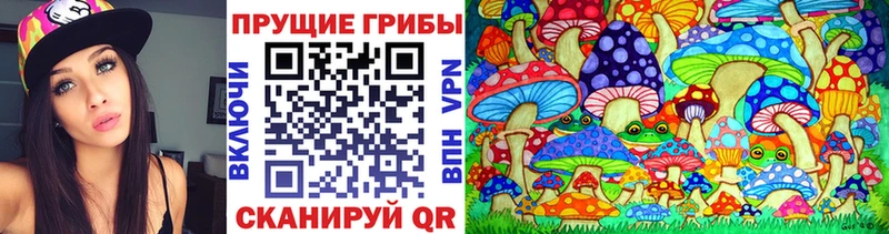 Псилоцибиновые грибы ЛСД  Купить закладки  Касли 